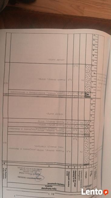 Działka rolna Juniewicze. Zdjęcie 2