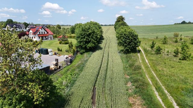 Działka rolna Smętowo Graniczne. Zdjęcie 10
