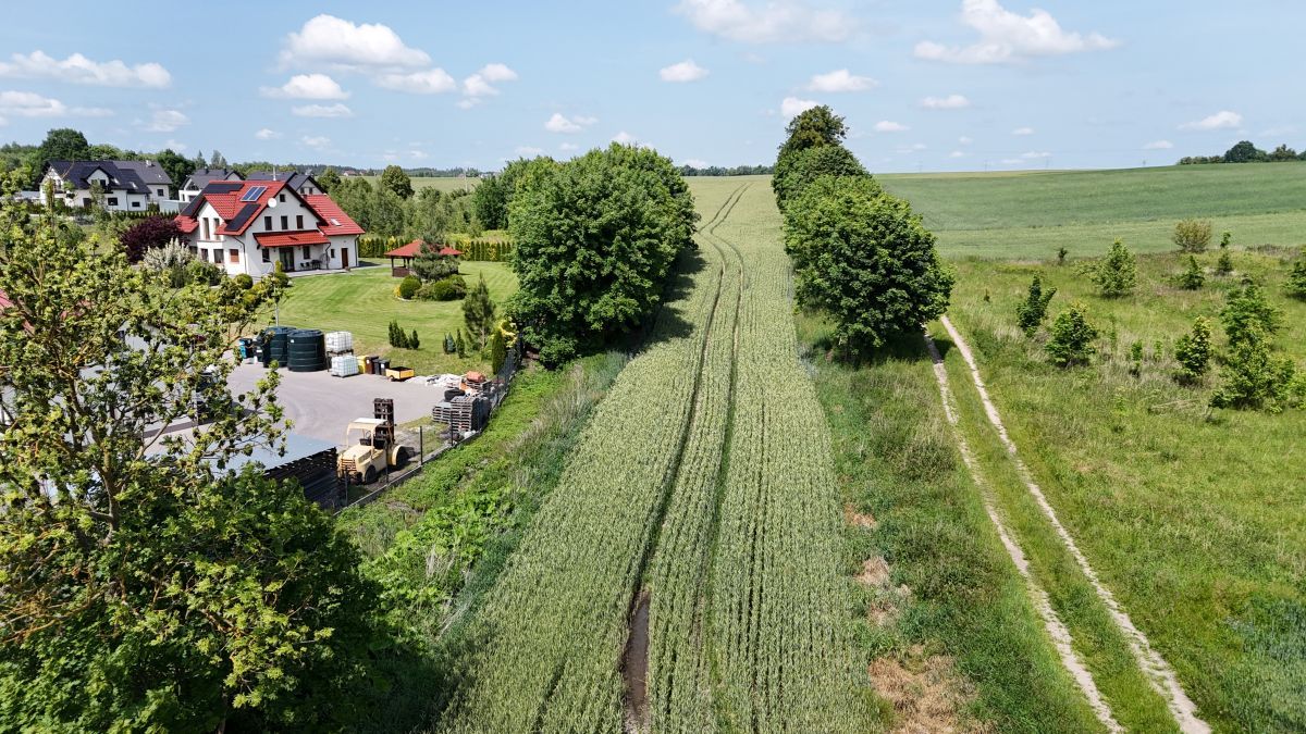 Działka rolna Smętowo Graniczne. Zdjęcie 10