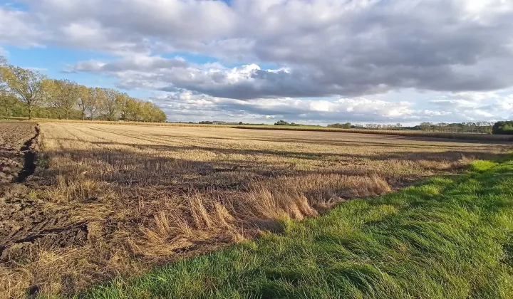 Działka inwestycyjna Strzelin, ul. Wojska Polskiego