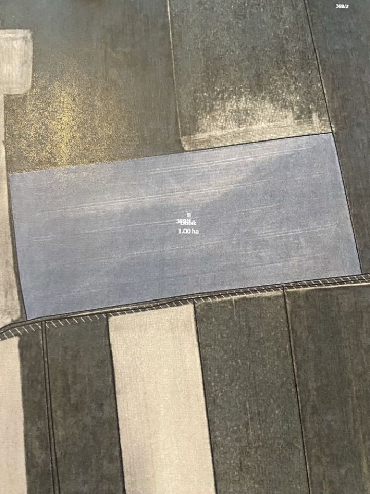 Działka rolna Zielenice. Zdjęcie 2