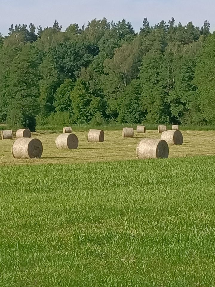 Działka siedliskowa Ruda. Zdjęcie 3