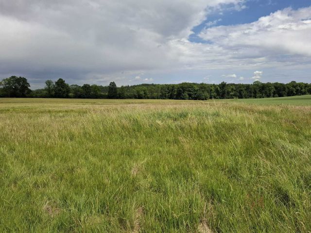 Działka siedliskowa Rybnica. Zdjęcie 1