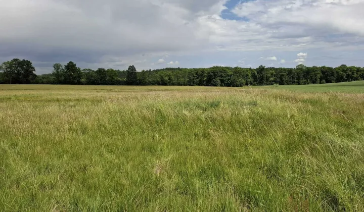 Działka siedliskowa Rybnica