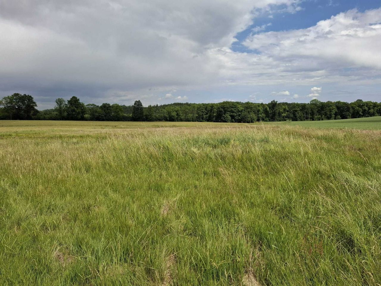 Działka siedliskowa Rybnica