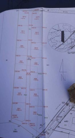 Działka budowlana Dąbie, ul. Dębowa. Zdjęcie 6