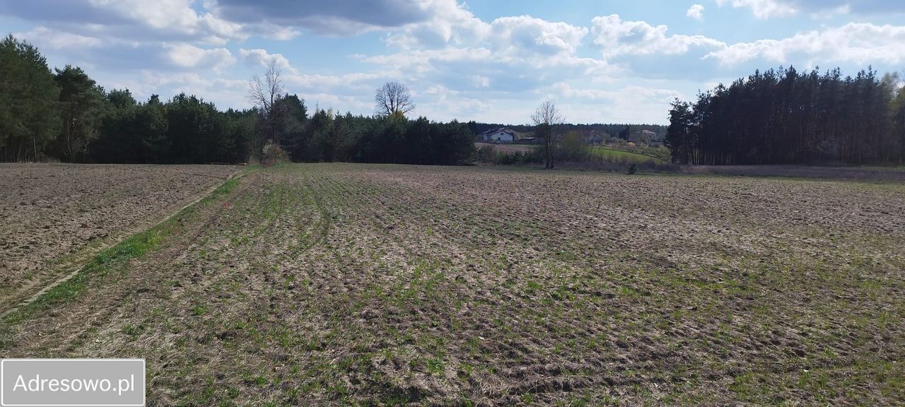 Działka budowlana Maksymilianów. Zdjęcie 8