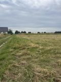 Działka rolno-budowlana Skała, ul. Marianów. Zdjęcie 2