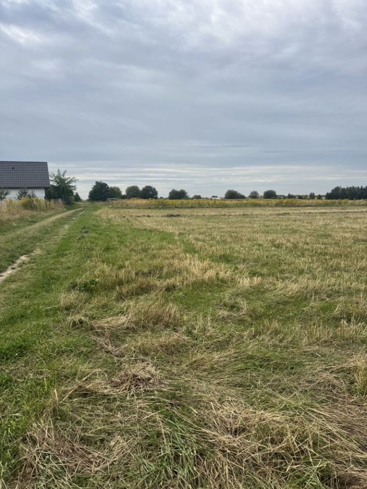 Działka rolno-budowlana Skała, ul. Marianów. Zdjęcie 3