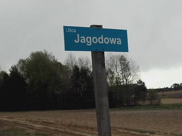 Działka budowlana Katarzynów, ul. Jagodowa. Zdjęcie 1