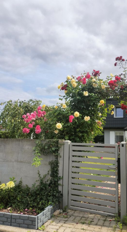 budynek wielorodzinny, 3 pokoje Niekanin, ul. Radosna. Zdjęcie 33