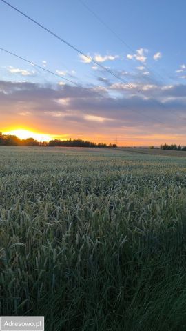 Działka rolna Jędrzejów. Zdjęcie 1