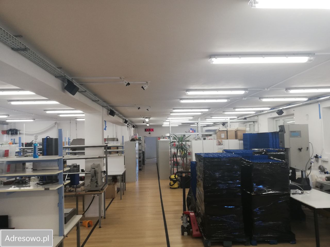 Lokal Warszawa Załuski, ul. Mineralna. Zdjęcie 8