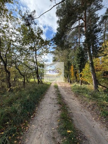 Działka siedliskowa Żórawie Szczawno. Zdjęcie 8