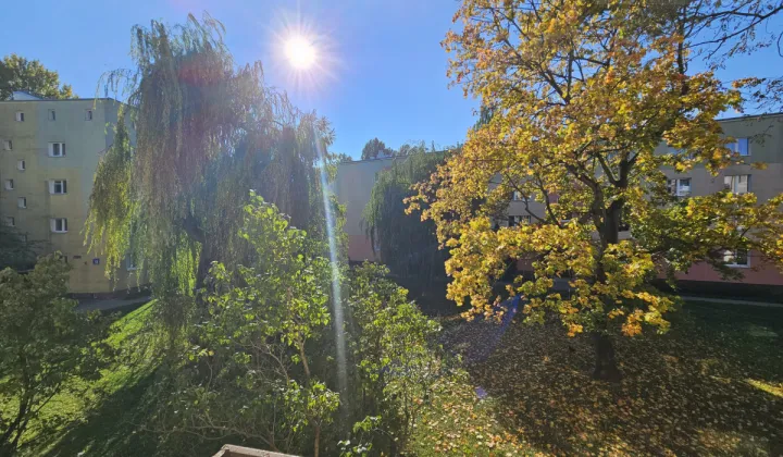 Mieszkanie 1-pokojowe Warszawa Ursus, ul. Kazimierza Pużaka