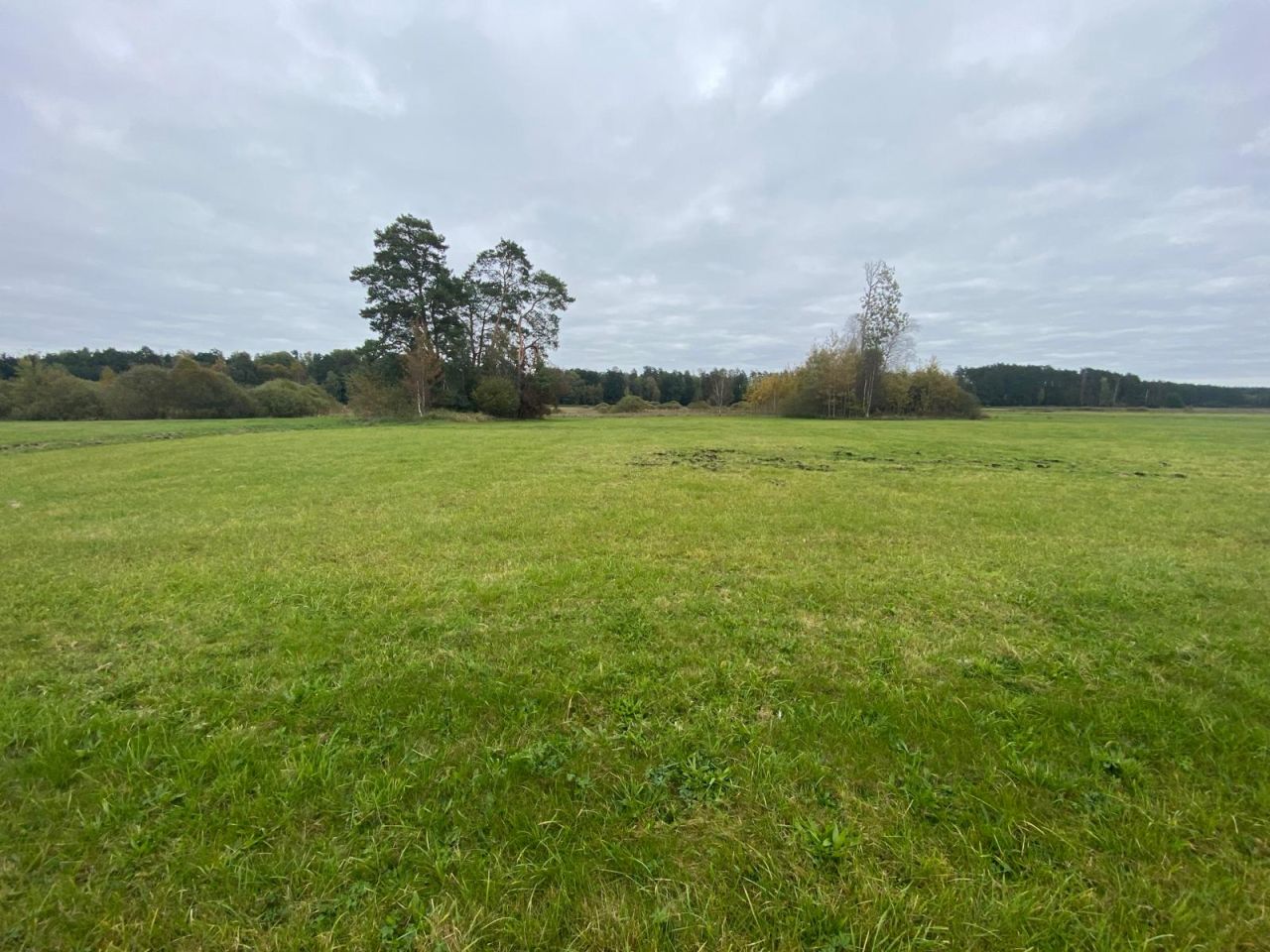 Działka rolna Osieczna. Zdjęcie 3