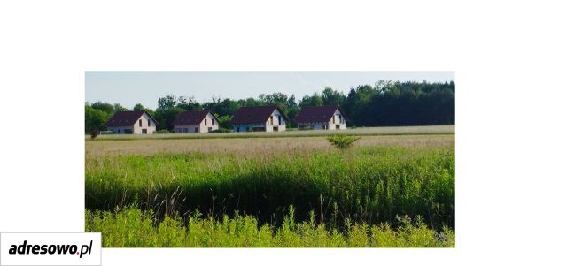 dom wolnostojący, 12 pokoi Ozorowice. Zdjęcie 7
