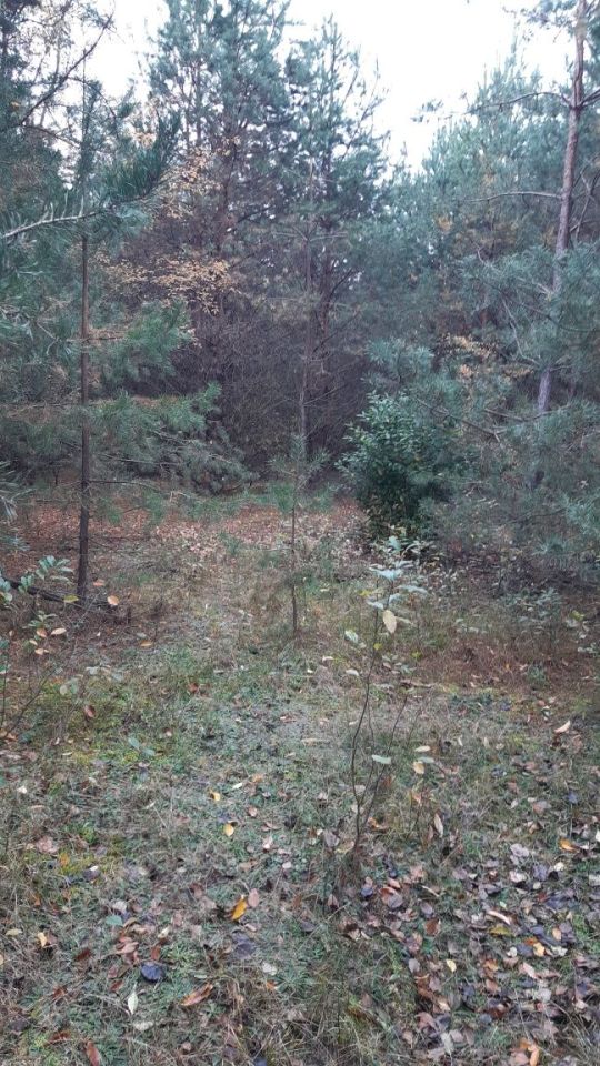 Działka rekreacyjna Żarnów. Zdjęcie 1
