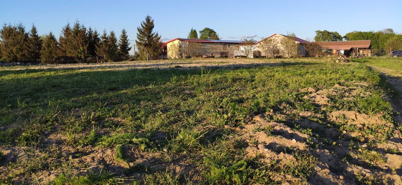 Działka budowlana Lewałd Wielki. Zdjęcie 4