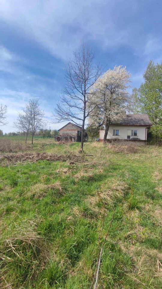 Działka rolno-budowlana Lubenia. Zdjęcie 3