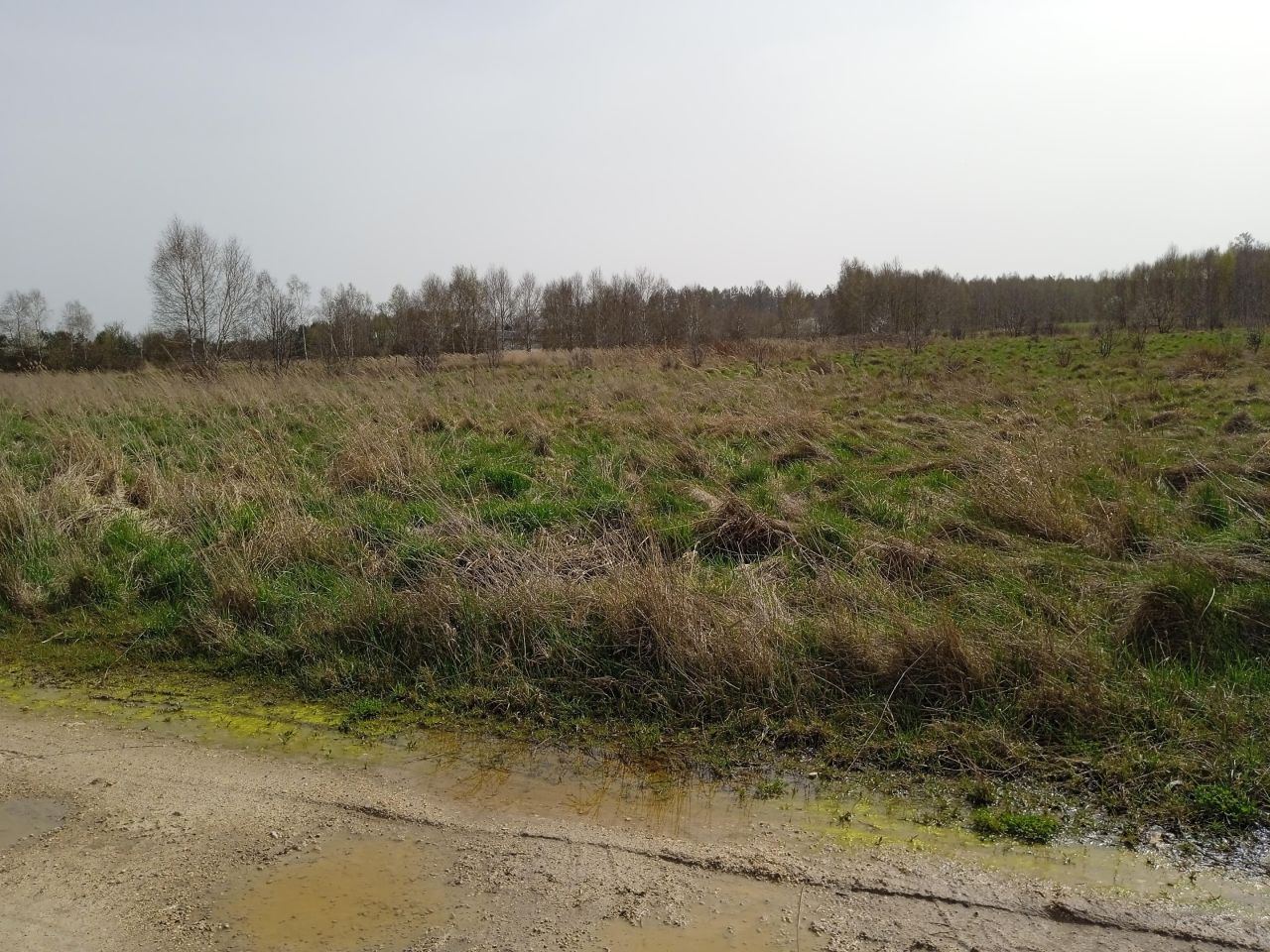 Działka rolno-budowlana Radomsko Stobiecko Miejskie, ul. Częstochowska. Zdjęcie 5