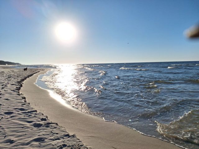 Działka budowlana Dębki. Zdjęcie 1