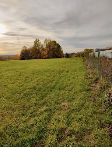 Działka budowlana Zebrzydów, Zebrzydów. Zdjęcie 1