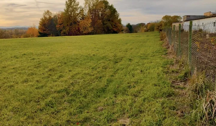 Działka budowlana Zebrzydów, Zebrzydów