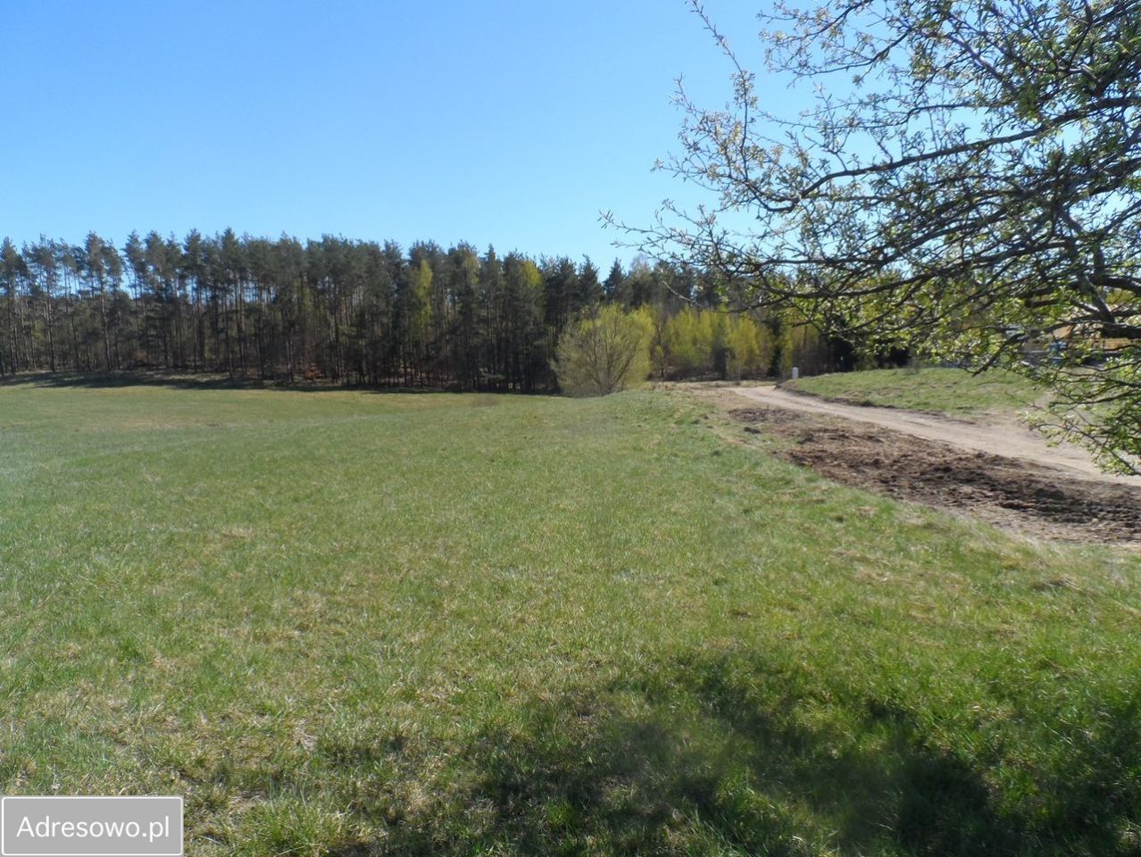 Działka rolno-budowlana Pomlewo, ul. Szkolna. Zdjęcie 3