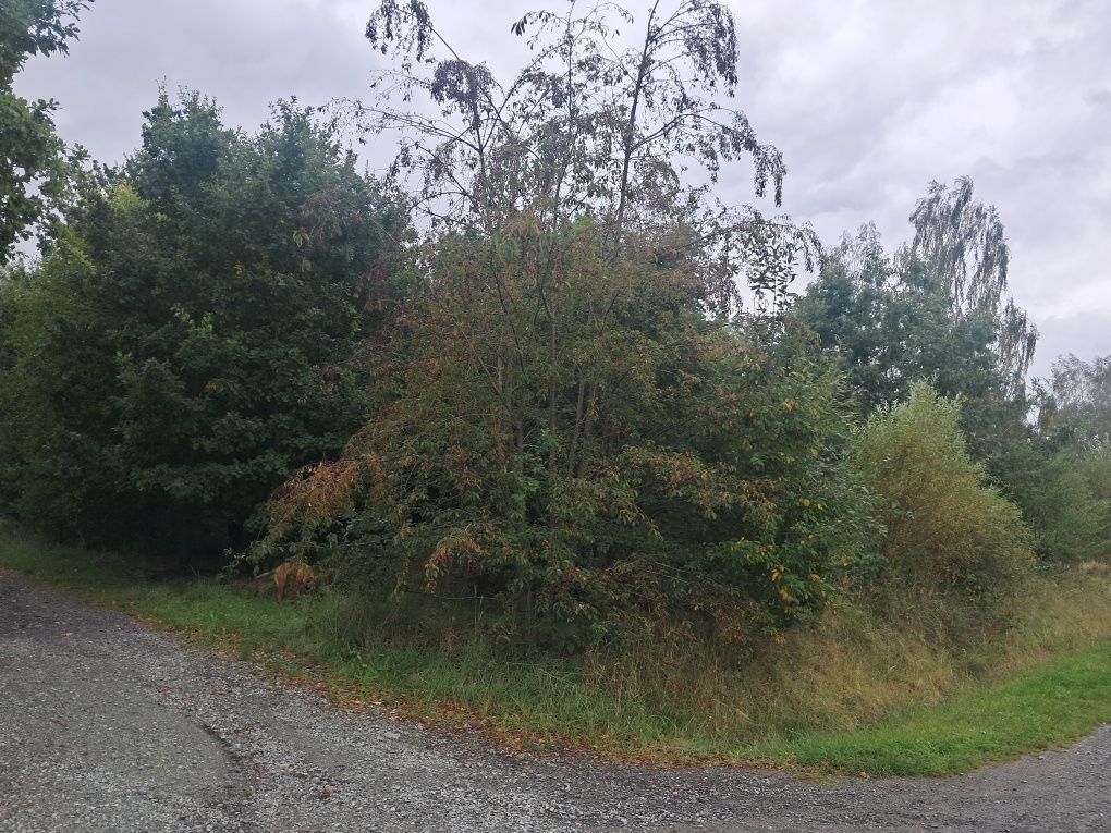 Działka budowlana Kłodzko, ul. Sowia. Zdjęcie 3