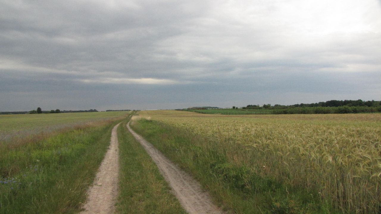 Działka budowlana Poznań Krzesinki, ul. Rudnicka. Zdjęcie 7