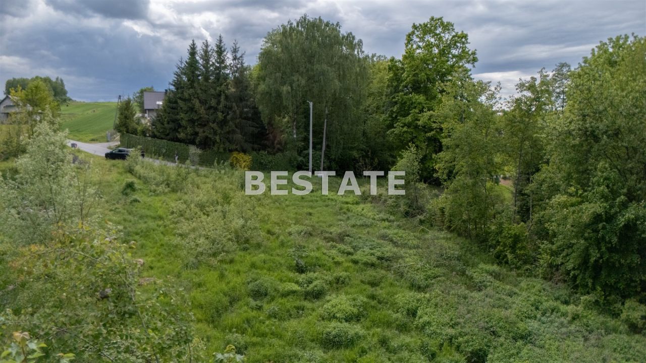 Działka leśna Szynwałd. Zdjęcie 4