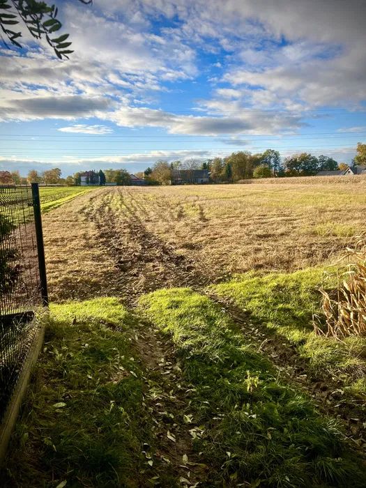 Działka rolno-budowlana Kraków Nowa Huta. Zdjęcie 5