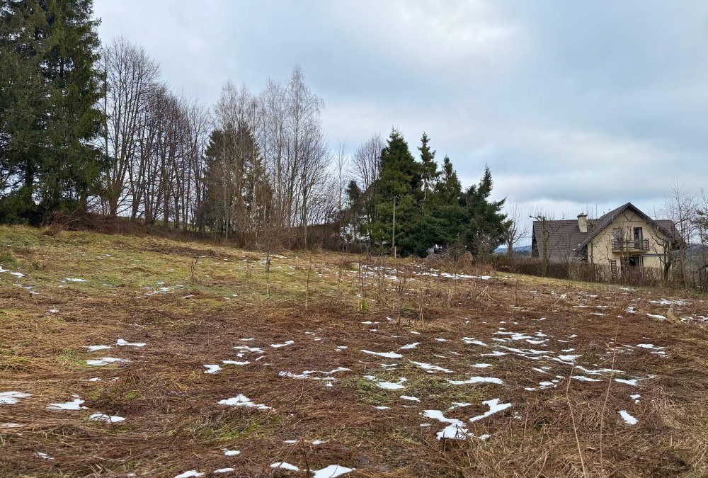 dom wolnostojący, 2 pokoje Czarna. Zdjęcie 11