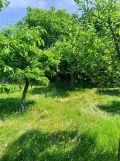 Działka rod Świdwin, ul. Połczyńska. Zdjęcie 3