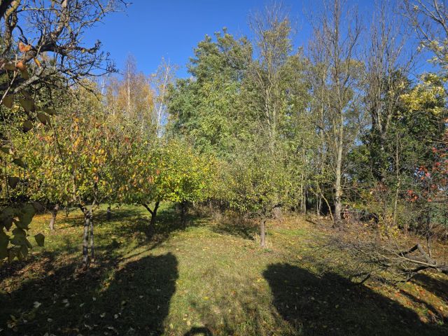 dom wolnostojący, 3 pokoje Gołas. Zdjęcie 8