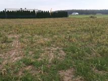 Działka budowlana Piotrowice. Zdjęcie 1