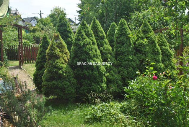 Działka rod Wieliczka Koszutka, ul. Różana. Zdjęcie 10