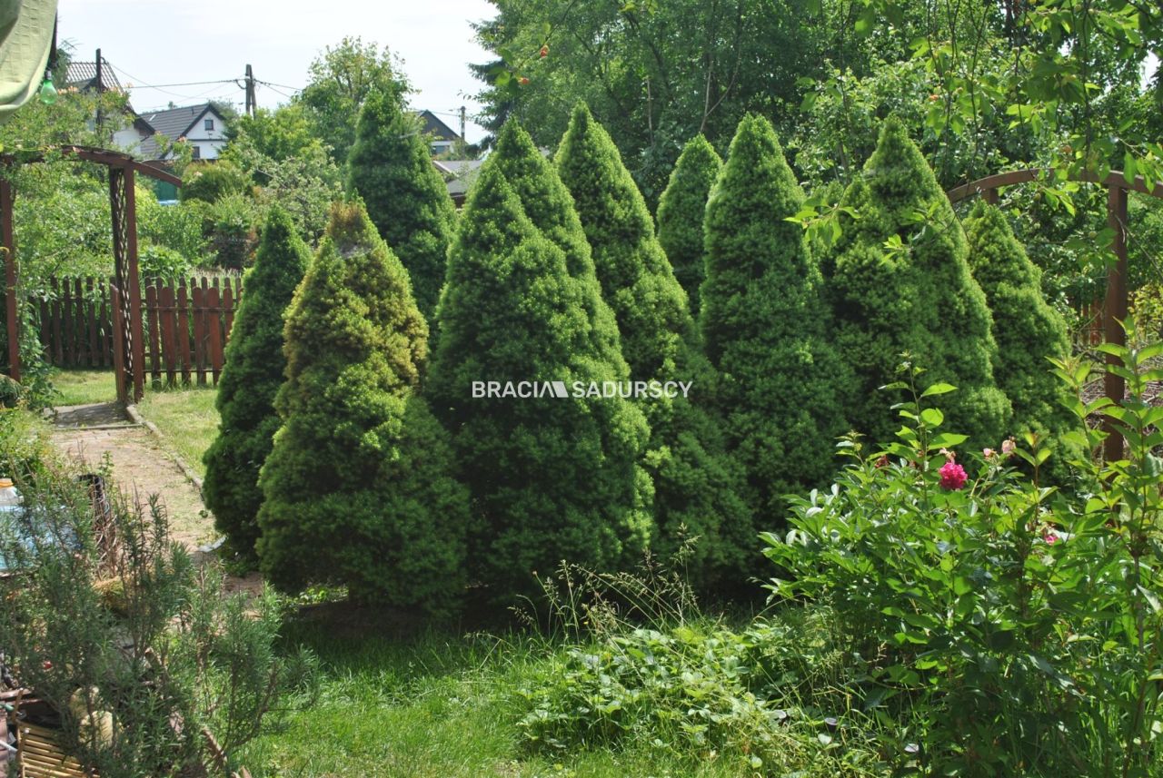 Działka rod Wieliczka Koszutka, ul. Różana. Zdjęcie 10