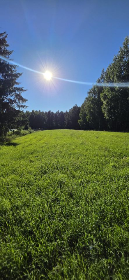 Działka budowlana Jarząbka Czary. Zdjęcie 9
