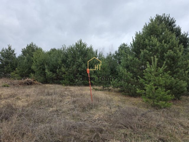 Działka rolna Łochowo, ul. Ignacego Kaczmarka. Zdjęcie 5