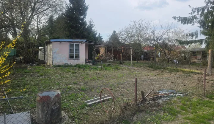 Działka rod Poznań Głuszyna, ul. Przy Lotnisku