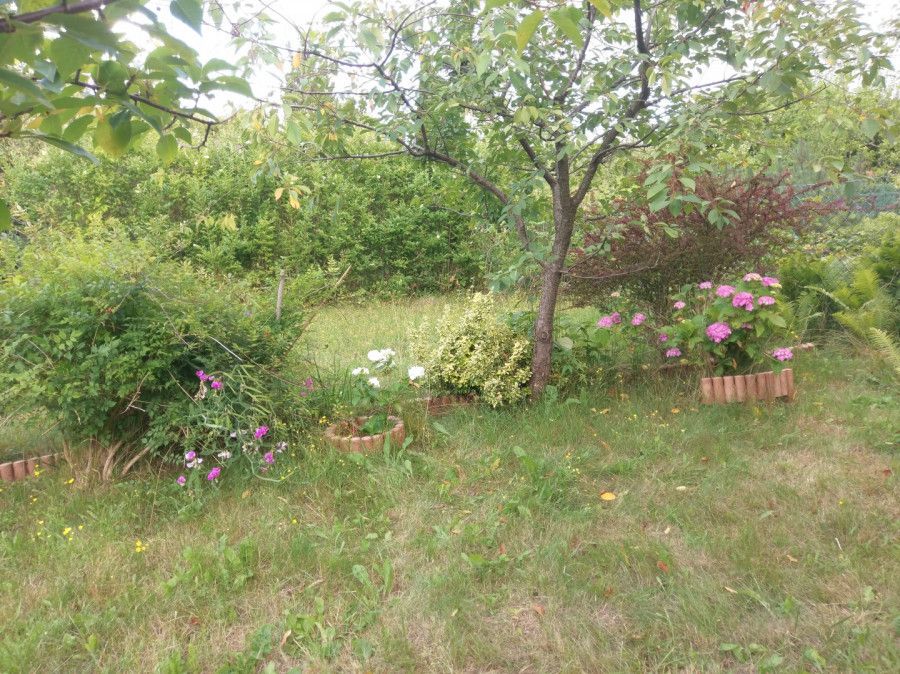 Działka rod Gdynia Mały Kack, ul. Grodnieńska. Zdjęcie 2