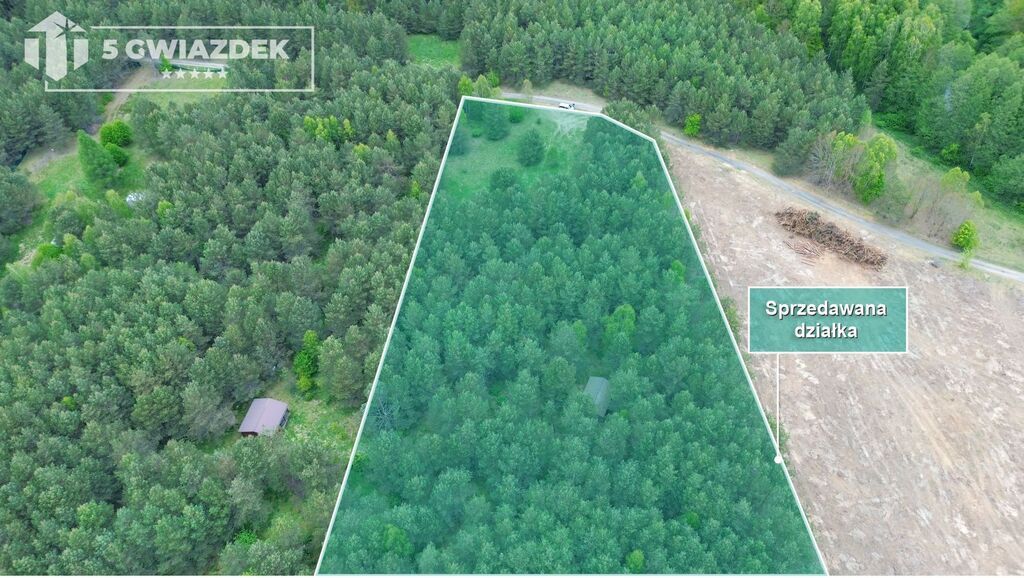 Działka siedliskowa Czochryń. Zdjęcie 8