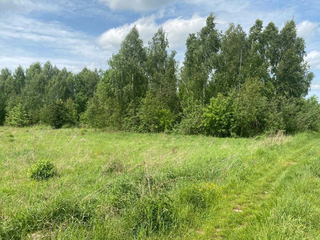 Działka budowlana Krępsk. Zdjęcie 3