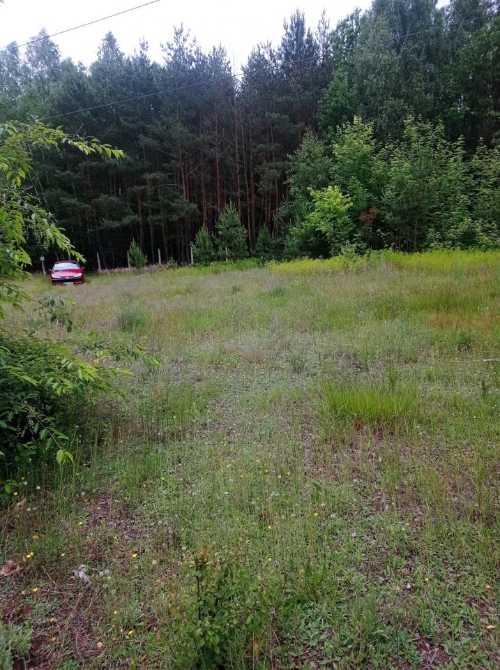 Działka inna Karolew. Zdjęcie 5