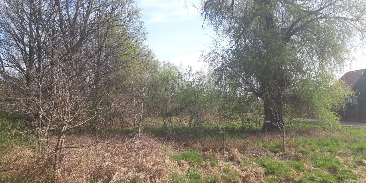 Działka rolno-budowlana Koźla. Zdjęcie 6