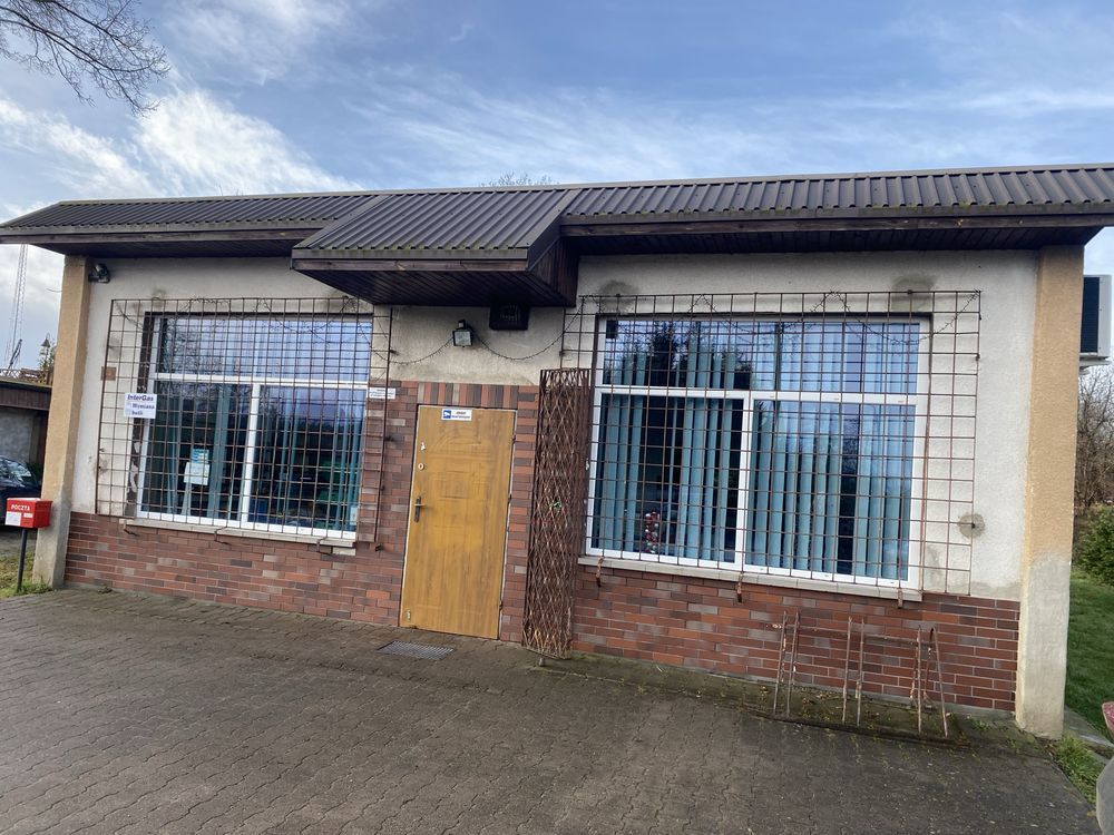 Lokal Sośnica. Zdjęcie 2