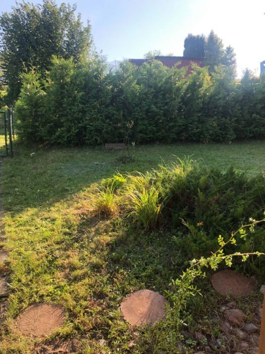 Działka rod Juszkowo. Zdjęcie 7