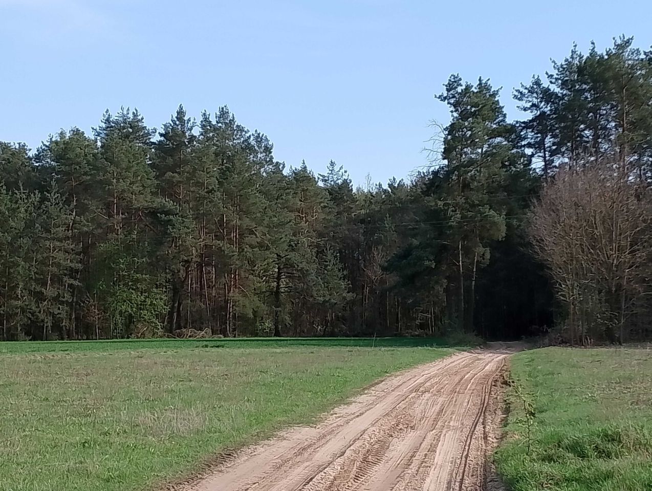 Działka budowlana Nowa Wieś. Zdjęcie 7